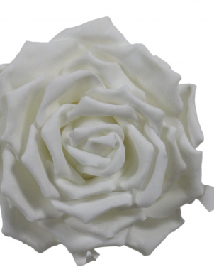 White Flower 01-D